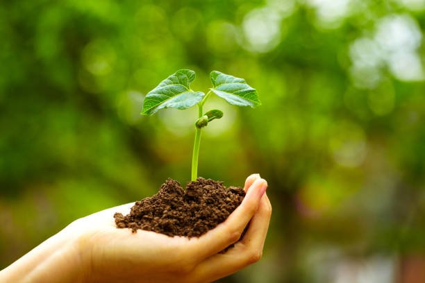 Making your idea VC ready